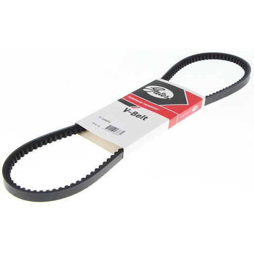 BELT A/C XF/ZL/FE 6cyl