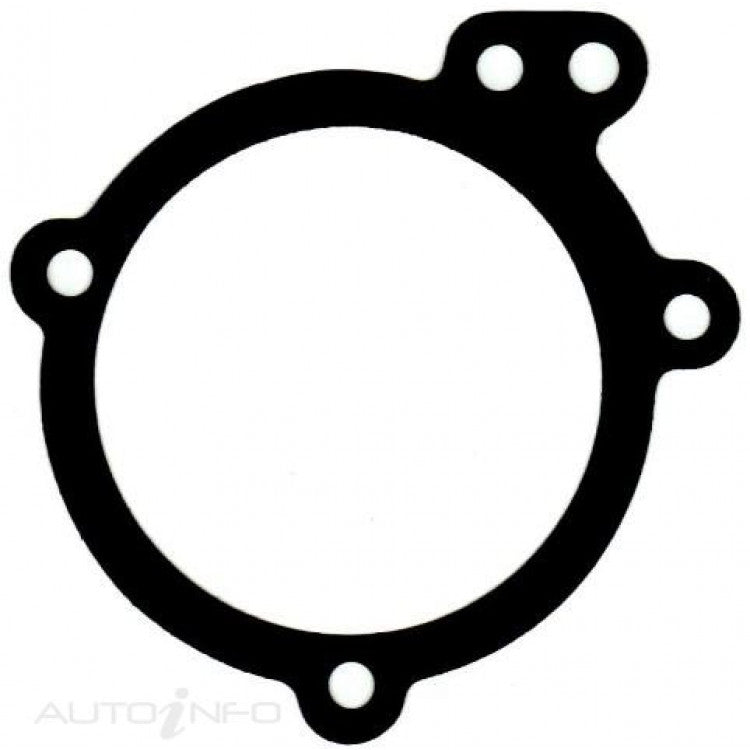 GASKET WATER PUMP 6cyl XY-F